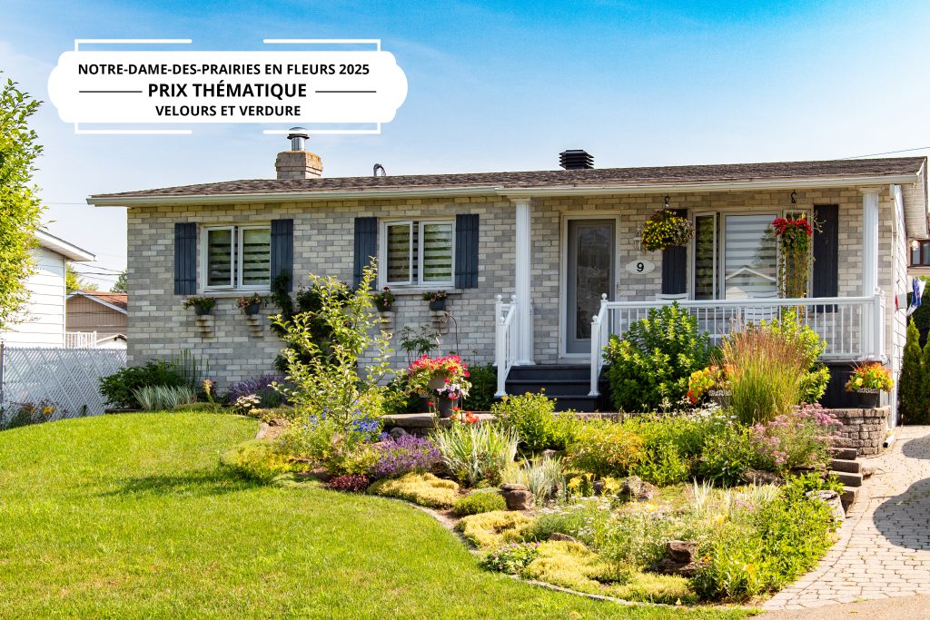 9 rue Bertrand - Velours et verdure